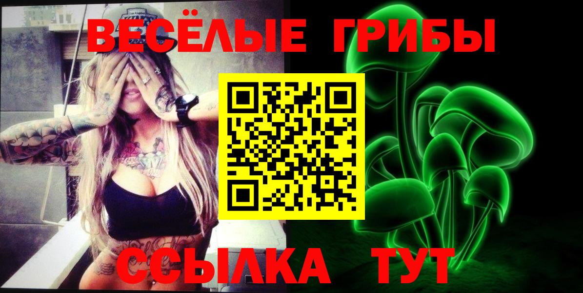 Зеленодольск  Галлюциногенные грибы Psilocybine cubensis  Вход с VPN 