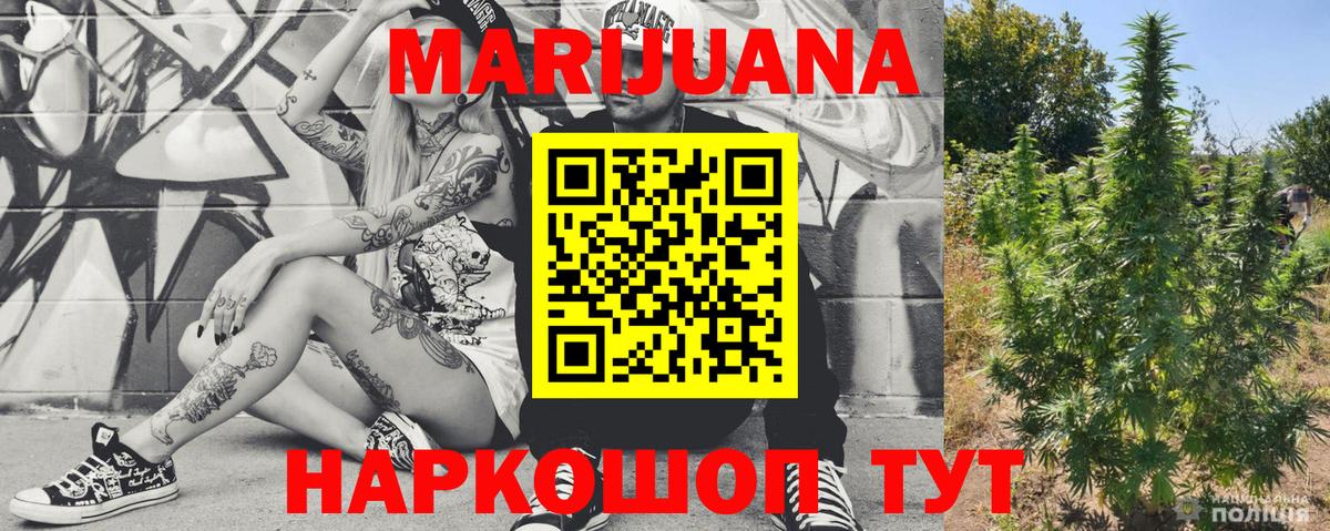 Бошки марихуана план  Шишки марихуана тримм  Вход с VPN  Зеленодольск  Конопля семена 